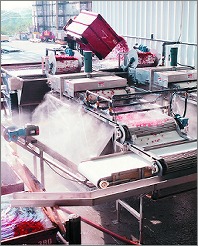 overview of the processing line